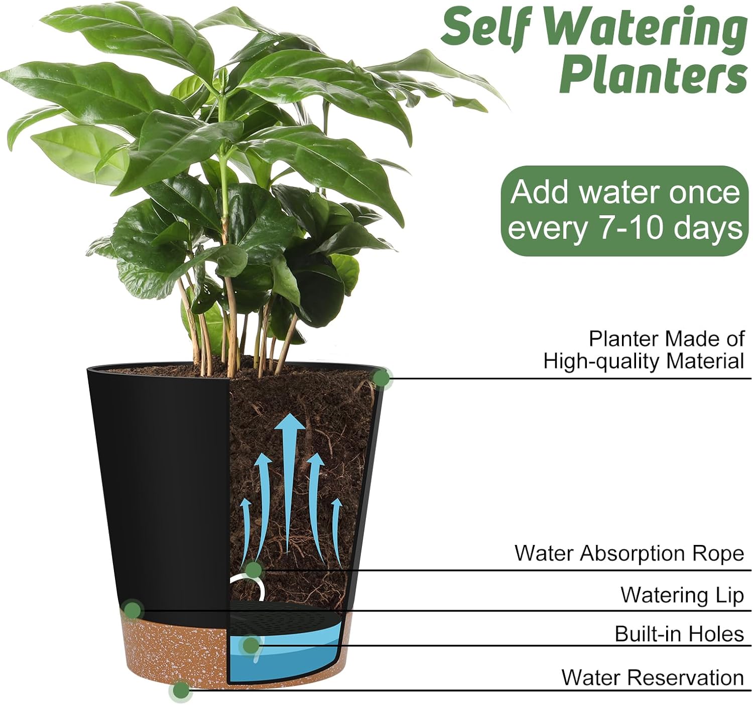 YNNICO Self-Watering Planters (Set of 6) - product photo